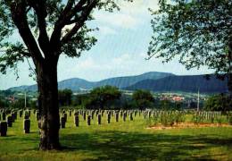 AK Deutscher Soldatenfriedhof Niederbronn/Frankreich, Ung - War Cemeteries