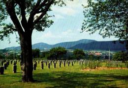 AK Deutscher Soldatenfriedhof Niederbronn/Frankreich, Ung - Cimetières Militaires