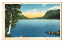 10141    WILLOUGHBY  LAKE - Other & Unclassified