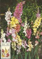 South Africa RSA - 1985 - Floral Emigrants, Indigenous Flowers - 1 Maximum Card - 30c - Briefe U. Dokumente