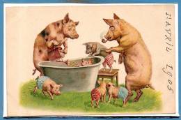 FANTAISIE --  Cochons - Gaufré - Pigs