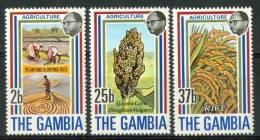 1973 Gambia Agricoltura Agriculture Set MNH** D305 - Légumes