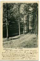 Pays-Bas Précurseur 1903 Vught Bij S-Bosch - Vught