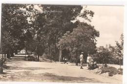 Portalegre - Avenida George Robinson - Portalegre