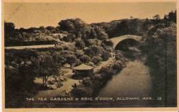 THE TEA GARDEN  BRIG O'DOON , ALLOWAY, AYR   53. - Ayrshire