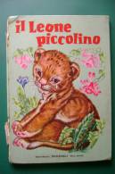 PEZ/32 Collana Sinfonia : IL LEONE PICCOLINO Editrice Piccoli 1958/Illustrato Mariapia - Antichi