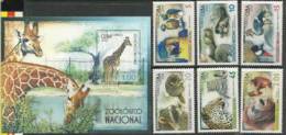 CUBA. Parc Zoologique National De Cuba (ara,tortue Geante,grue,raton Laveur,panthere,orang-outan) 6 T-p + 1 BF Neufs ** - Unused Stamps