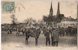 Chartres   Le Marché Aux Chevaux - Chartres