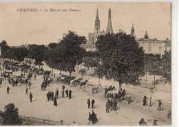 Chartres   Le Marché Aux Chevaux - Chartres