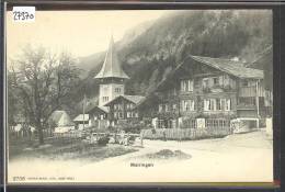 MEIRINGEN - TB - Meiringen