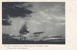 Schömberg, Schwarzw., Abendstimmung, Um 1930 - Schömberg