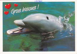 CPM  "  DAUPHIN Commun - GROS BISOUS " - Delphine