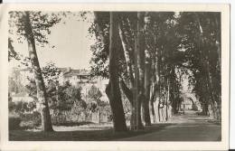 Verdun Sur Garonne - Les Remparts , Entrée De Verdun - Verdun Sur Garonne