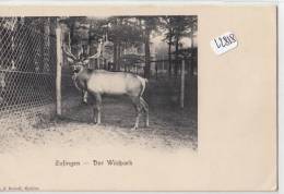 CPA - 22818 -Suisse - Zofingen - Zoo - Précurseur - Zofingen