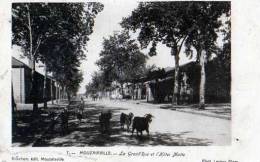 MOUZAIAVILLE La Grand'Rue Et L'Hotel Matte, Berger Et Ses Chevres, Dos Simple - Benín