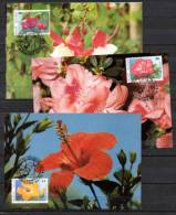 3 Cartes Maximum, Floralies Gantoises, 2589 /2591 - Fantasy Labels