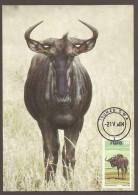 South West Africa SWA - 1984 - Definitive Additional Value Blue Wildebeest - Maximum Card / Maxi Card - Game