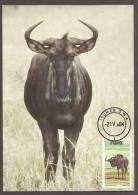 South West Africa SWA - 1984 - Definitive Additional Value Blue Wildebeest - Maximum Card / Maxi Card - Gibier