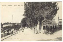 Carte Postale Ancienne Aniane - Avenue De La Gare - Aniane