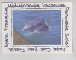 CPM DAUPHIN A LONG NEZ AVEC VRAI SABLE A REMUER SOUS PLASTIQUE - Dolphins
