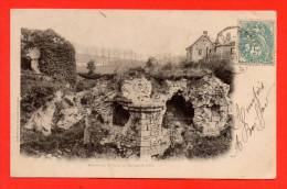 Ruines Du Chateau De BEYNES. - Beynes