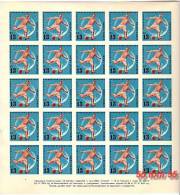 1962 Sport  FOOTBALL World  Coup – CHILLE  2  Sheet Of 25 V.perf.+impefr. – MNH Bulgaria  / Bulgarie** - 1962 – Chile