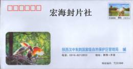 CHINA PF-176 BIRDS HANZHONG P-COVER - Buste