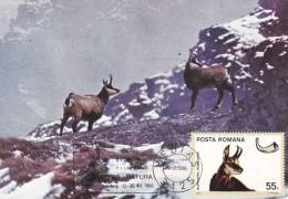 DEER,CM,CARTES MAXIMUM,MAXICARD,1986,ROMANIA - Gibier