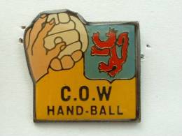 Pin's HANDBALL - C.O.W  LION - Handbal