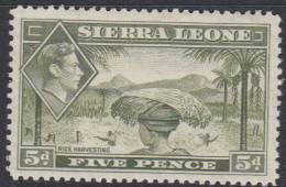 SIERRA LEONE 1938 5d KGVI SG 194 HM XQ167 - Sierra Leone (...-1960)