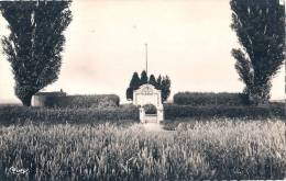 77 - VILLEROY Cimetière Militaire De La Bataille De La Marne  TTB - Villenoy