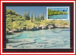 FRANCE / NOUVELLE CALEDONIE : CM De 1991 N° YT PA 277 " VUE DE MARE " En PARFAIT état - Maximumkarten