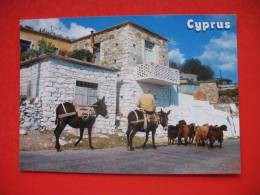 Typical Village Scene - Chypre