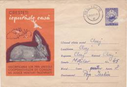 RABBIT,ENTIER POSTAUX,POSTAL STATIONERY,COVER,1963,ROMANIA - Rabbits