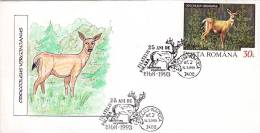 DEER,SPECIAL COVER,POSTMARK ON COVER,1993,ROMANIA - Gibier