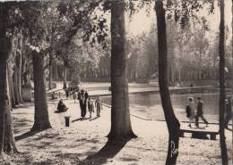 BR38893 Le Parc De Sceaux Seine Promenade Le Long Du Lac      2 Scans - Sceaux