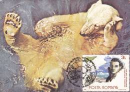 POLAR BEAR,CM,CARTES MAXIMUM,MAXICARD,1990,ROMANIA - Bears