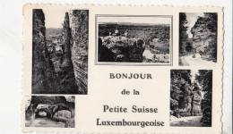 BR42522 Petite Suisse Luxembourghese   2 Scans - Famille Grand-Ducale