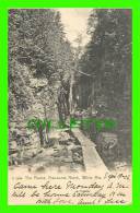 WHITE MOUNTAINS, NH - THE FLUME, FRANCONIA NOTCH - TRAVEL IN 1906 - UNDIVIDED BACK - THE ROTOGRAPH CO - - White Mountains