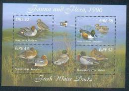 Ireland ** & Fauna Flora 1996 - Canards