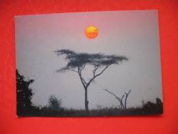 Serengeti Sunrise - Tanzanie