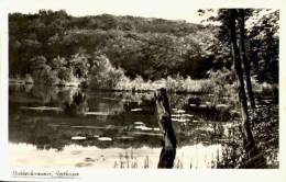 AK Stubbenkammer, Herthasee, Gel, 1956 (Sassnitz) - Rügen