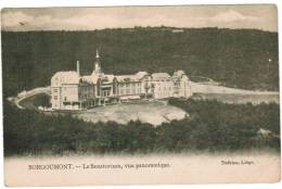 Borgoumont, Le Sanatorium, Vue Panoramique (pk6330) - Stoumont