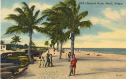CPA - Tropical Dania Beach, FLORIDA - 636 - Palm Beach