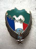 INSIGNE ARMEE DE L'AIR DETALAT DIVISION HERMINE OPEX J.BALME SAUMUR ETAT EXCELLENT - Luchtmacht