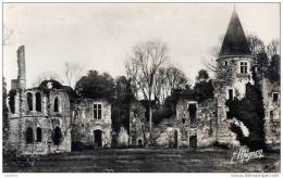 77 - FONTENAY-TRÉSIGNY - Ruines Du Château Royal Du Vivier - CPSM - Fontenay Tresigny