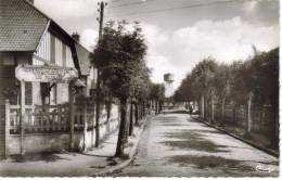 CPSM VILLIERS LE BEL (Val D´Oise) - Cité Jardin : Le Nord - Villiers Le Bel