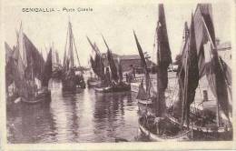 Senigallia(Ancona)-Porto Canale-1930 - Senigallia