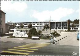 57 - Moselle - SARRALBE - Groupe  Scolaire - Dentelée  - Format 10,4  X  14,9 - Sarralbe