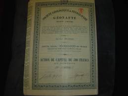 Action " Sté Géologique Et Petrolifère GEONAPHTE " Bruxelles 1921 Capital Soc.1000000F.Petrole - Pétrole